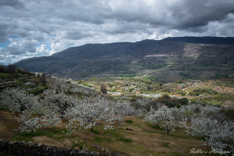 El Valle del Jerte